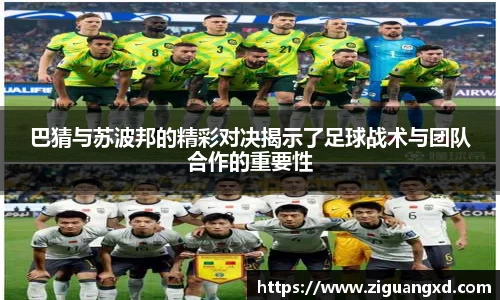 mk体育官网入口